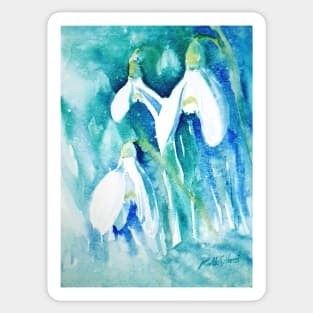 Snowdrops Sticker